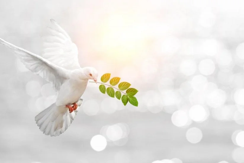 German Ambassador: Today peace is more urgent than ever