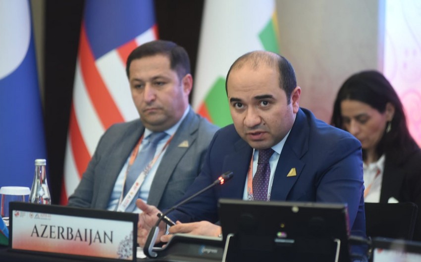 ASEAN Parlamentlərarası Assambleyanın üzvləri Ermənistanın təxribatları barədə məlumatlandırılıb