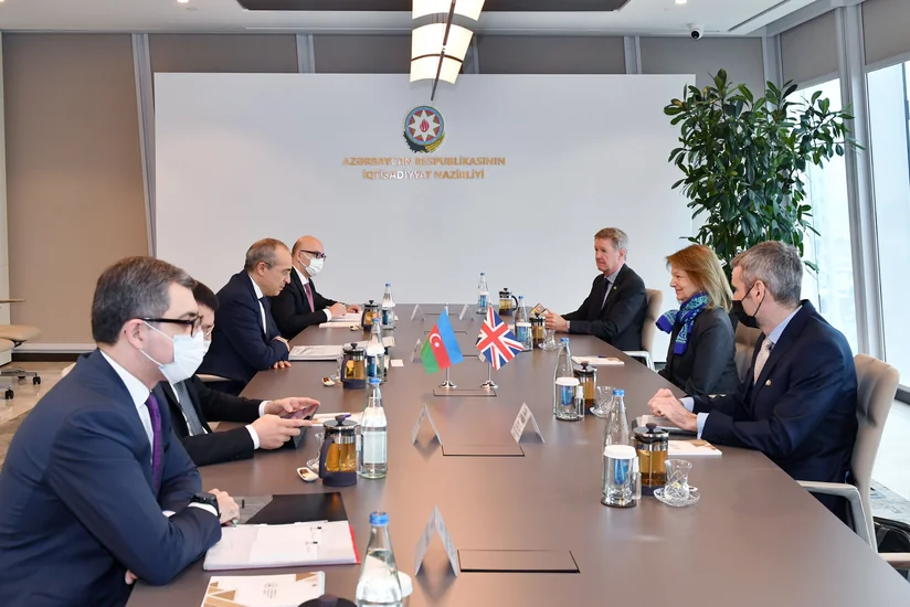 Baroness Nicholson meets Azerbaijani economy minister