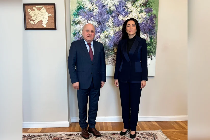 Ombudsman BMT-nin komitə üzvünü bölgədəki vəziyyət barədə məlumatlandırıb