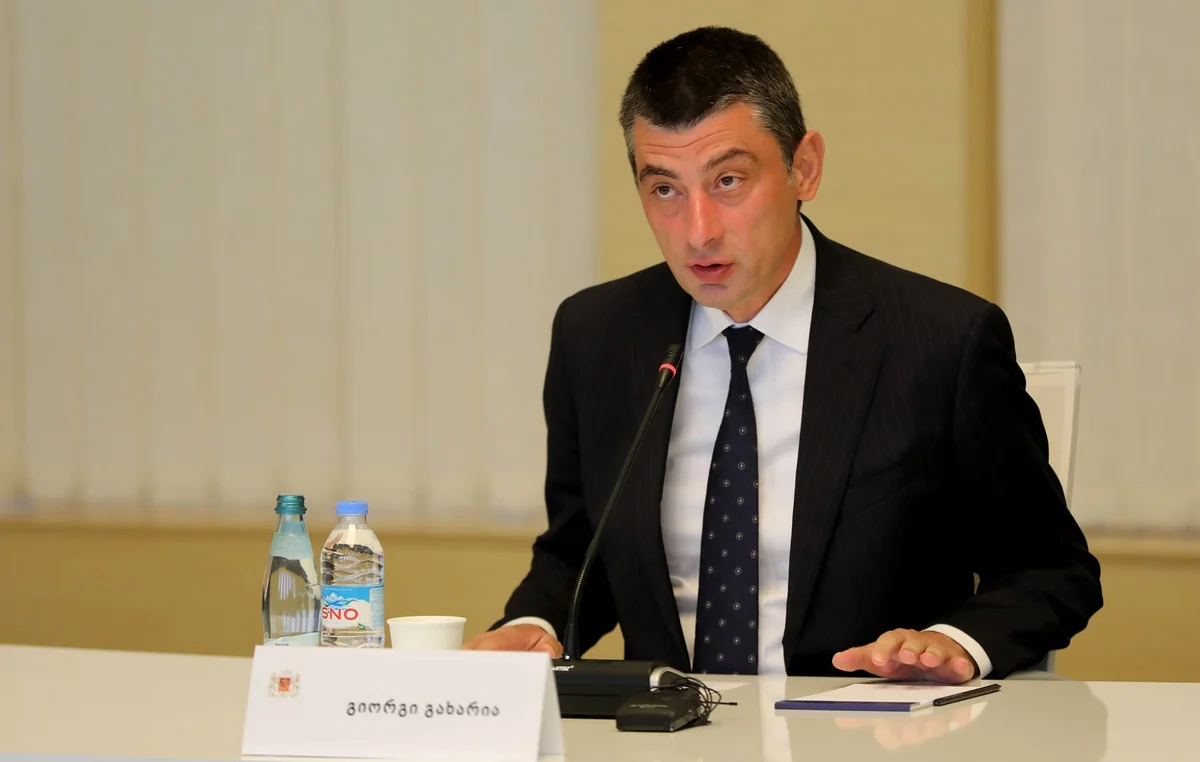 Georgian PM: There is no frozen conflict