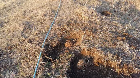 Ağstafada əl qumbaraları tapılıb