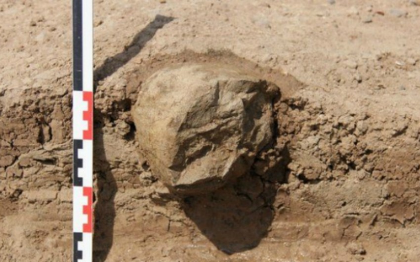 Misirdə 7 min ildən çox yaşı olan artefaktlar aşkar olunub