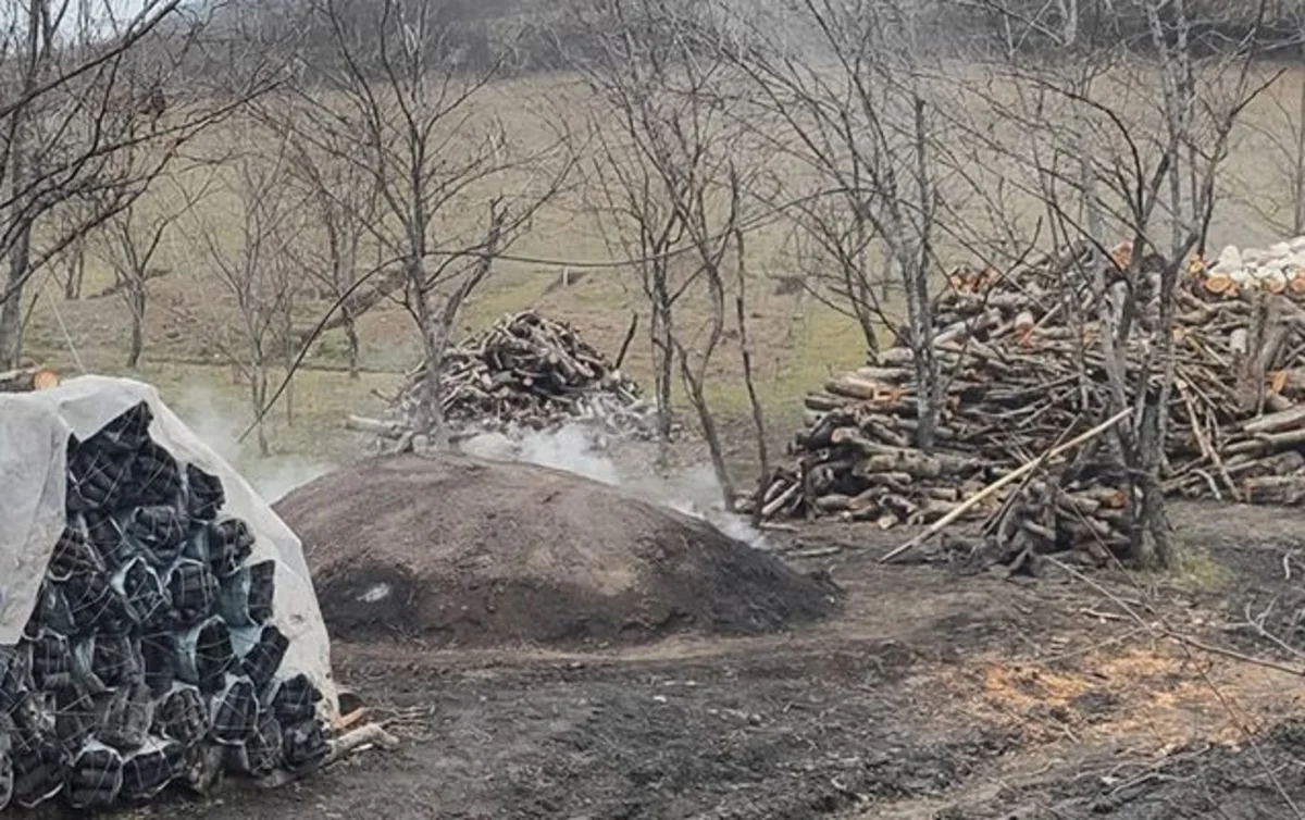 Qubada qanunsuz kömür quyusu aşkarlanıb