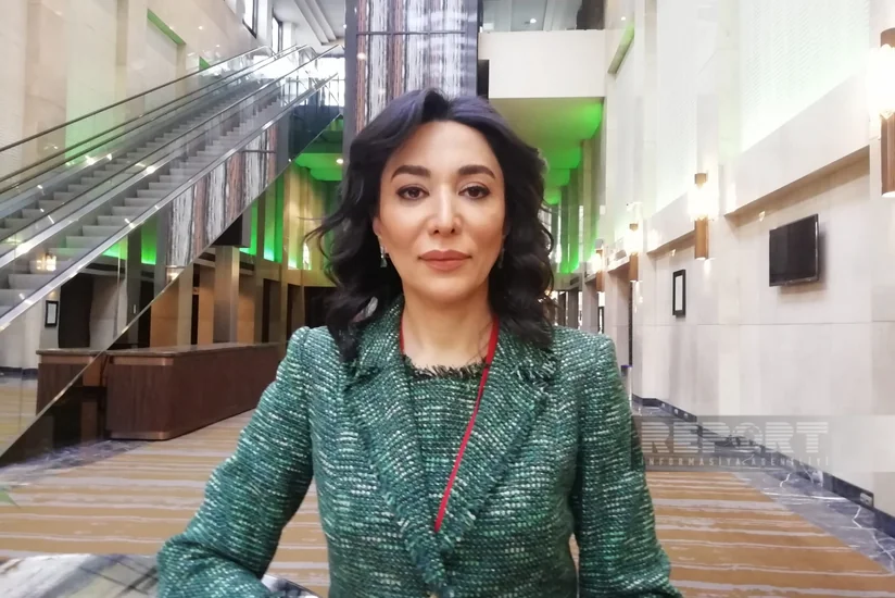 Омбудсмен: Незаконная эксплуатация месторождений Азербайджана - угроза для всего региона