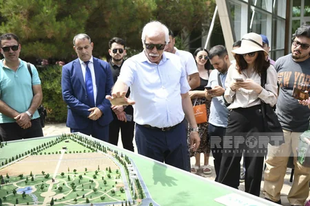 SOCAR karbon kreditlərinin növbəti satışına hazırlaşır