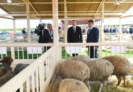 Prezident İlham Əliyev XXV Azərbaycan Beynəlxalq Qida Sənayesi və XIII Azərbaycan Beynəlxalq Kənd Təsərrüfatı sərgiləri ilə tanış olub - YENİLƏNİB