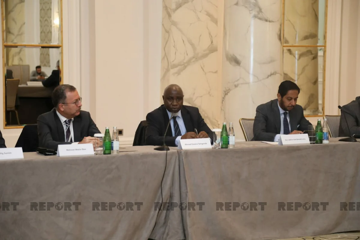 OIC Assistant Secretary: We will continue to support Azerbaijan