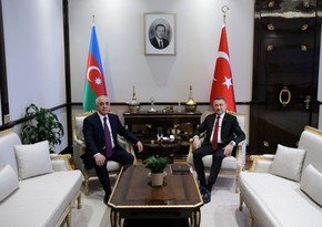 Azerbaijani PM, Turkish Vice President hold meeting