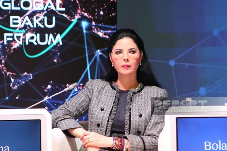 Panel session on new energy and transport corridors in Eurasian zone held within Global Baku Forum