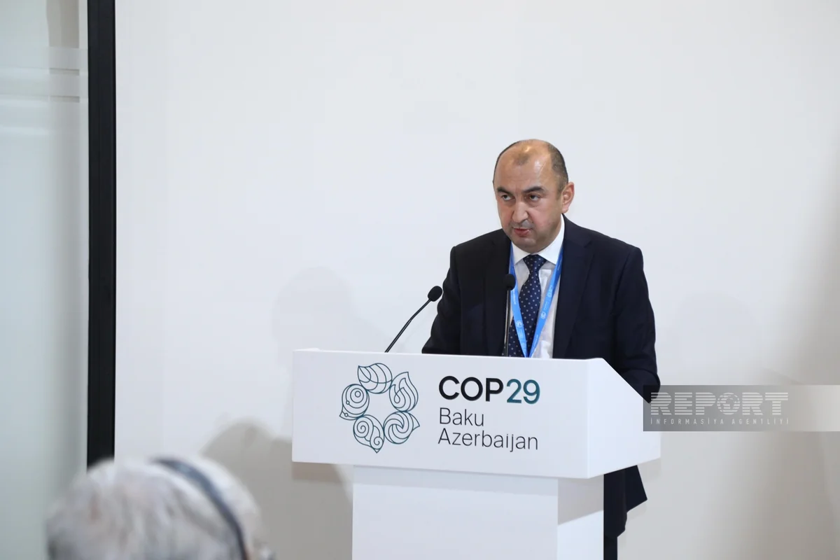 Azerbaijan eyes creating new national park in liberated territories