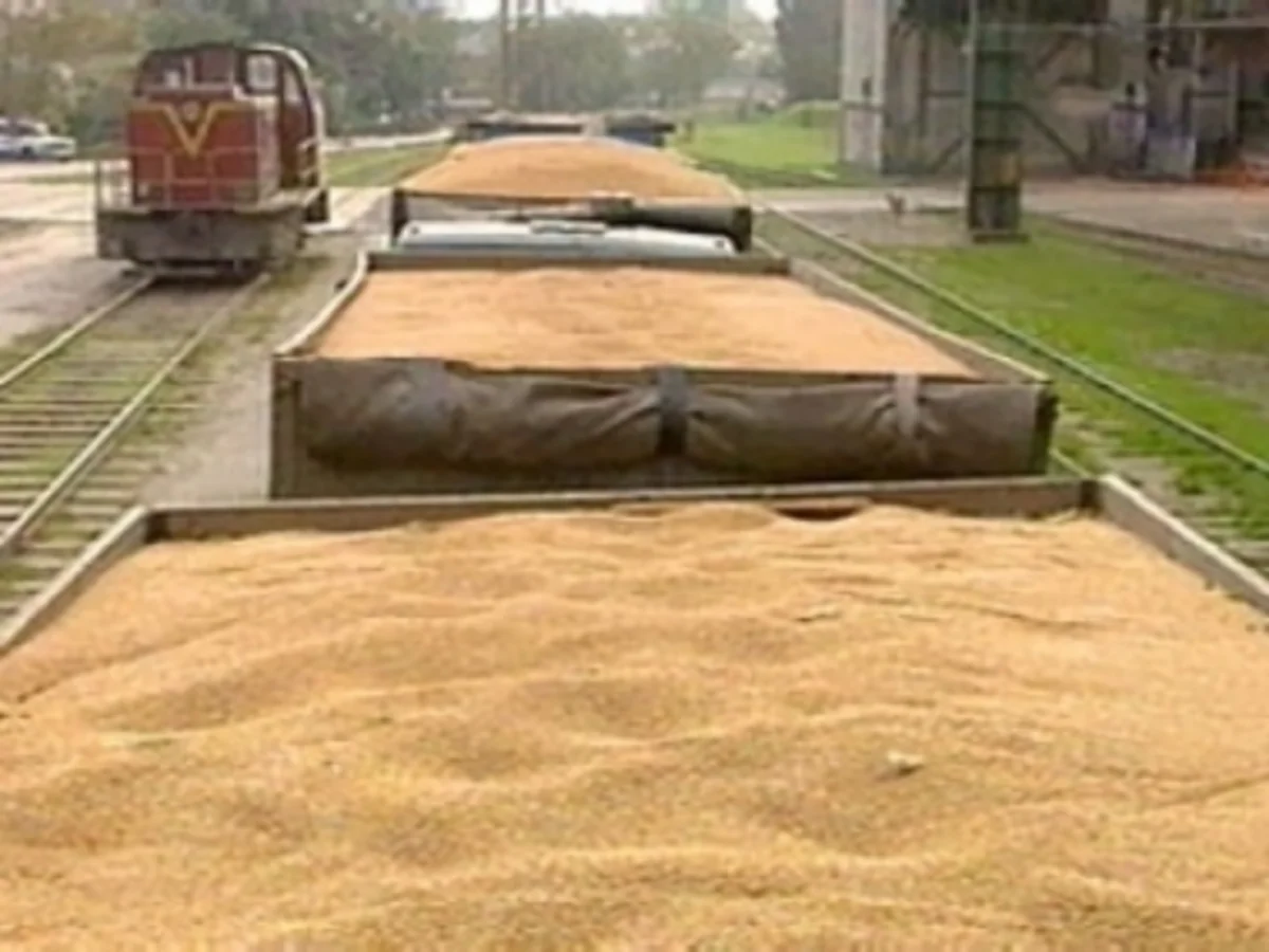 ​Dekabrda Rusiya Azərbaycana 127 min ton buğda ixrac edib