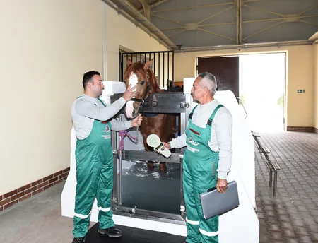 President Ilham Aliyev attends opening of Qarabag Equestrian Complex