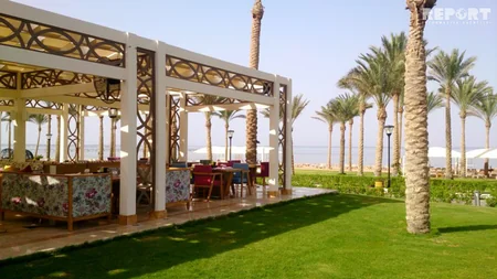 Qırmızı dəniz sahilindəki ecazkar və nadir gülləri ilə məşhur şəhərdən - REPORTAJ