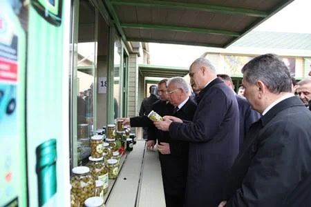 Bakıda ixtisaslaşdırılmış Yaşıl Market Kompleksi - AQROMOLL istifadəyə verilib