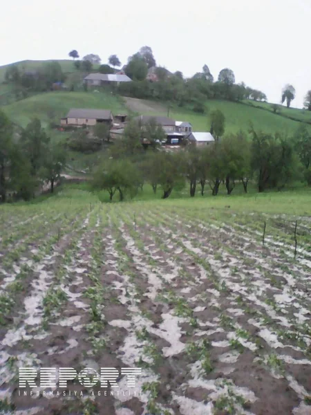 Tovuz rayonuna dolu yağıb - FOTO