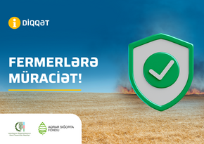 Taxıl sahəsinin yanğından sığortalanması tarifləri açıqlanıb
