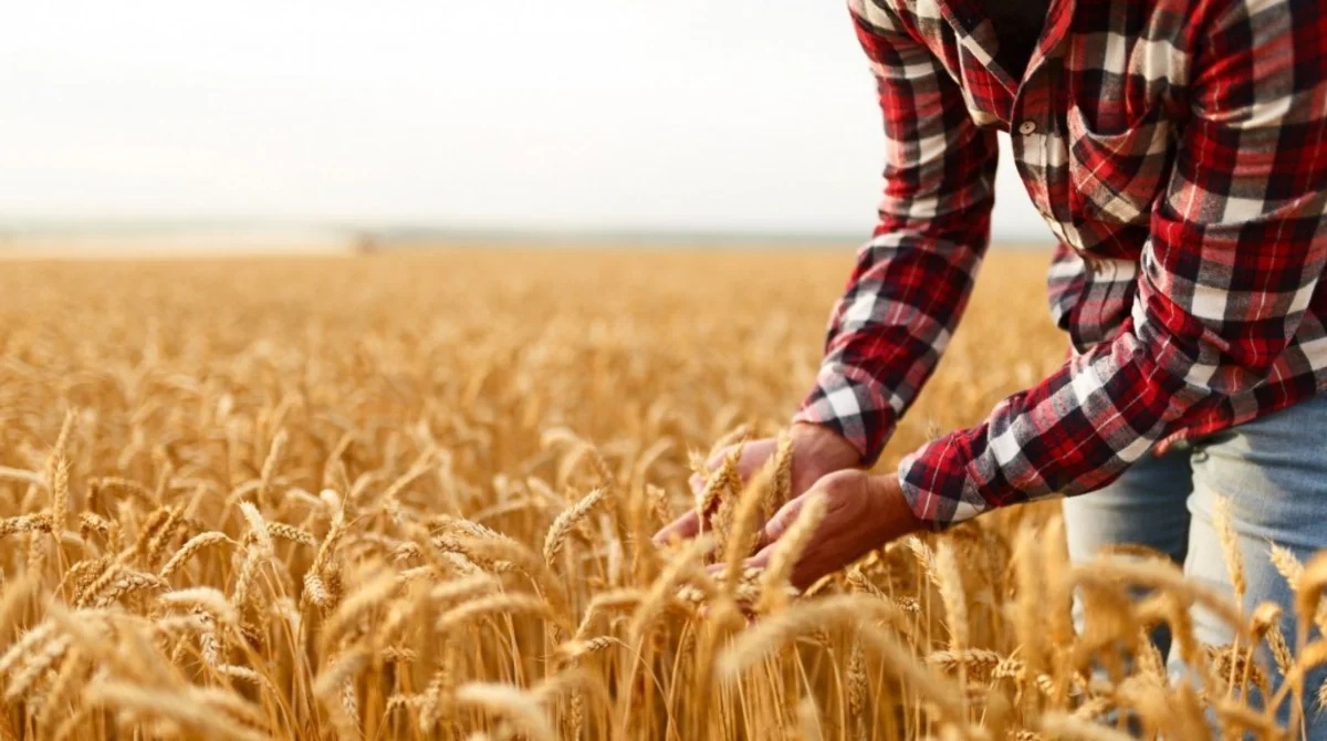 Azərbaycanlı fermerlər bu il 75 milyon manat subsidiya alıb