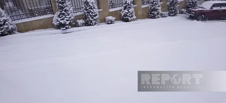 В Шуше выпало 10 см снега