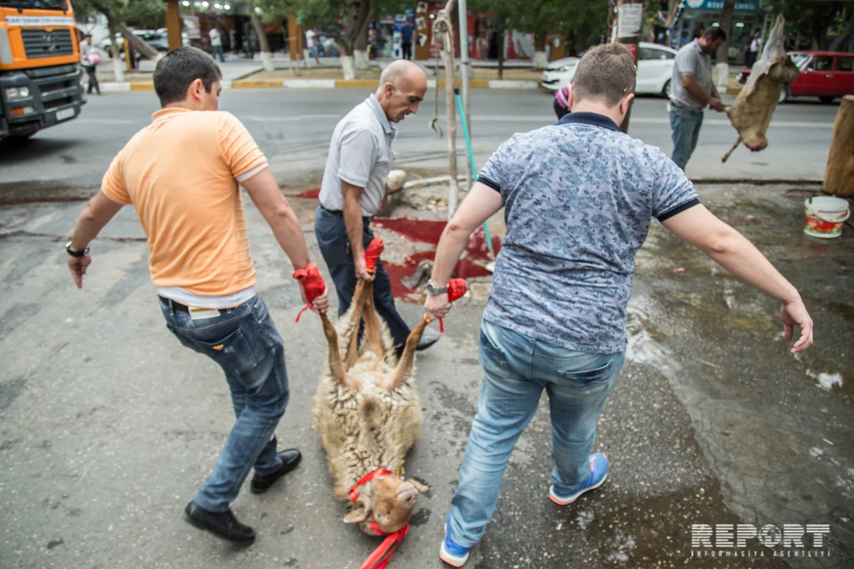 Bakı əhalisi qurban kəsir - FOTOREPORTAJ