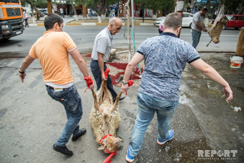 Baku residents sacrifice animals - PHOTO REPORT