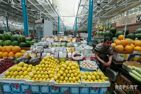 “GMO dalğasının qarşısını almaq mümkün deyil” - ARAŞDIRMA