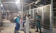 ABŞ vətəndaşları İrandan Azərbaycana təxliyə olunub