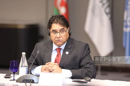 Bakıda pestisidlərdən istifadənin idarə edilməsinə dair regional seminar keçirilir 