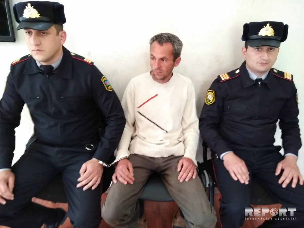 В Гахском районе задержан мужчина, вырастивший в своем дворе 116 кустов конопли - ВИДЕО - ФОТО