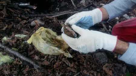 Oğuzda 3 ədəd əl qumbarası tapıldı