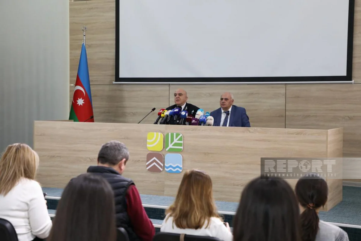 Ötən il Azərbaycanda qanunsuz balıq ovu ilə bağlı 40 iş məhkəməyə göndərilib