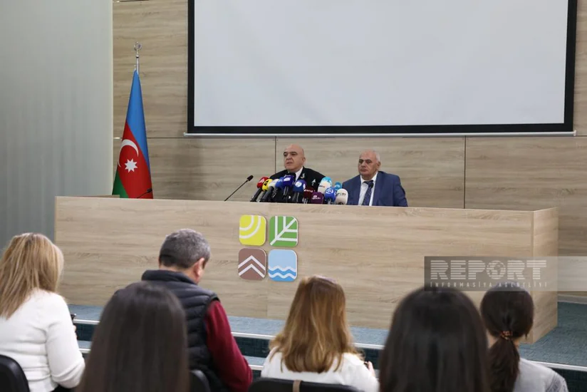 Ötən il Azərbaycanda qanunsuz balıq ovu ilə bağlı 40 iş məhkəməyə göndərilib