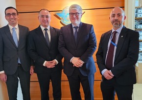Azərbaycan və ICAO Aktaudakı təyyarə qəzasına dair araşdırmaların gedişatını müzakirə edib