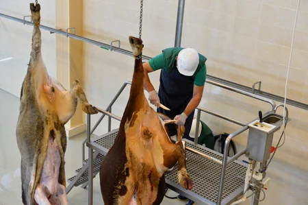 İran halal ət kəsimini Azərbaycan şirkətinə etibar edib - VİDEO