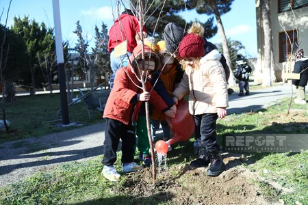 Xocalı soyqırımının qurbanı olan uşaqların xatirəsinə Bakıda 63 ağac əkilib