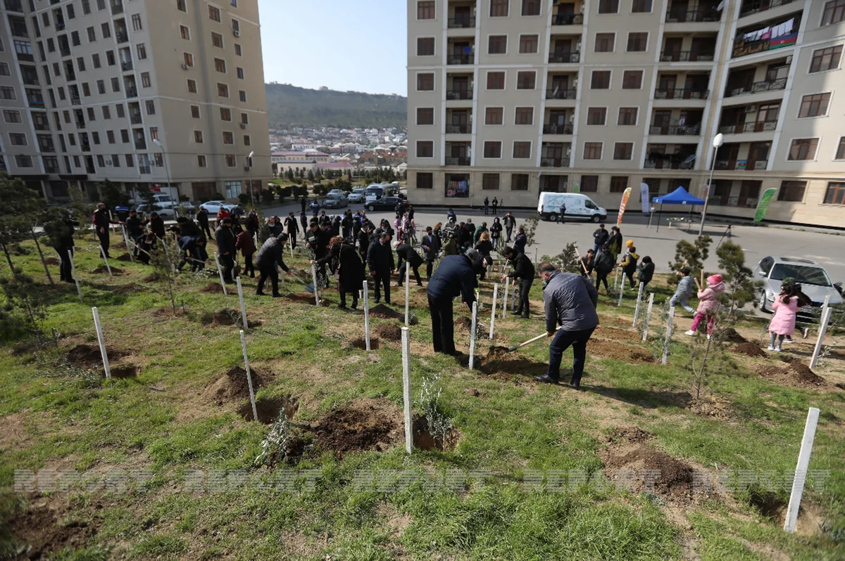 Jurnalistlər ağac əkdi