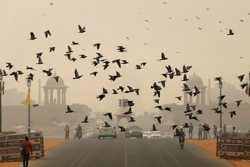 Nyu-Dehlidə havanın çirklənməsi səbəbindən məktəblər bağlanıb