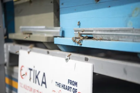 Arıçılıq təsərrüfatlarının Qubadlı yaylaqlarına köçünə start verilib