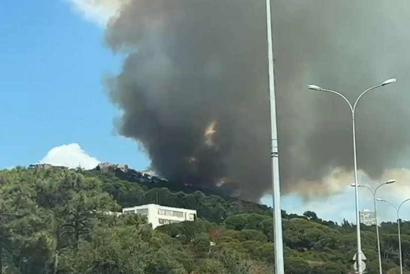 Fire breaks out in forest area in Istanbul