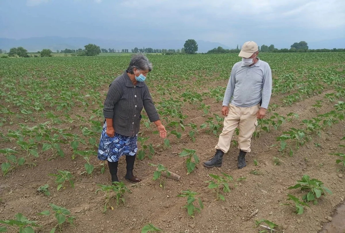 Qazaxda top mərmisi aşkarlandı
