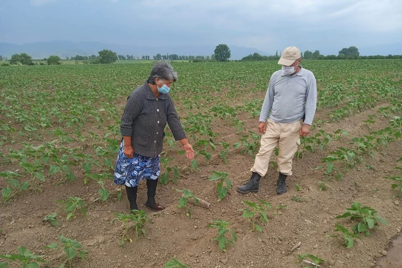 Qazaxda top mərmisi aşkarlandı