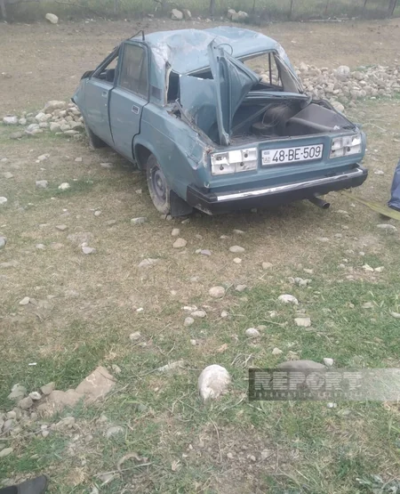 Oğuzda avtomobil qoyun sürüsünü vurub, 10-dan çox heyvan tələf olub