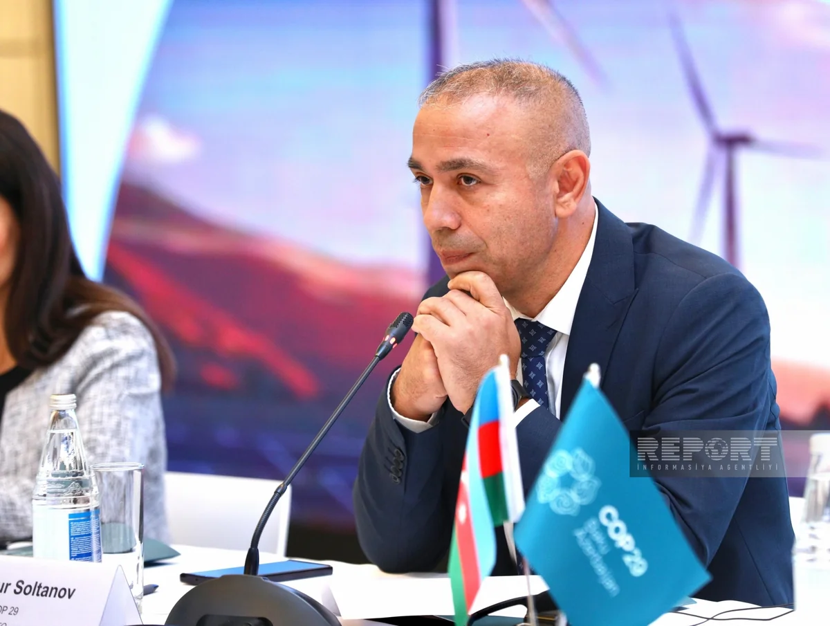 Deputy minister: Labor issues delay transition to green energy