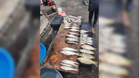 Bərdədə bazarda yoxlama keçirilib, inzibati protokol tərtib edilib