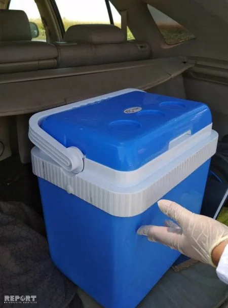 Tərtərdə pambıq sahəsində 14 nəfər zəhərlənib - FOTO