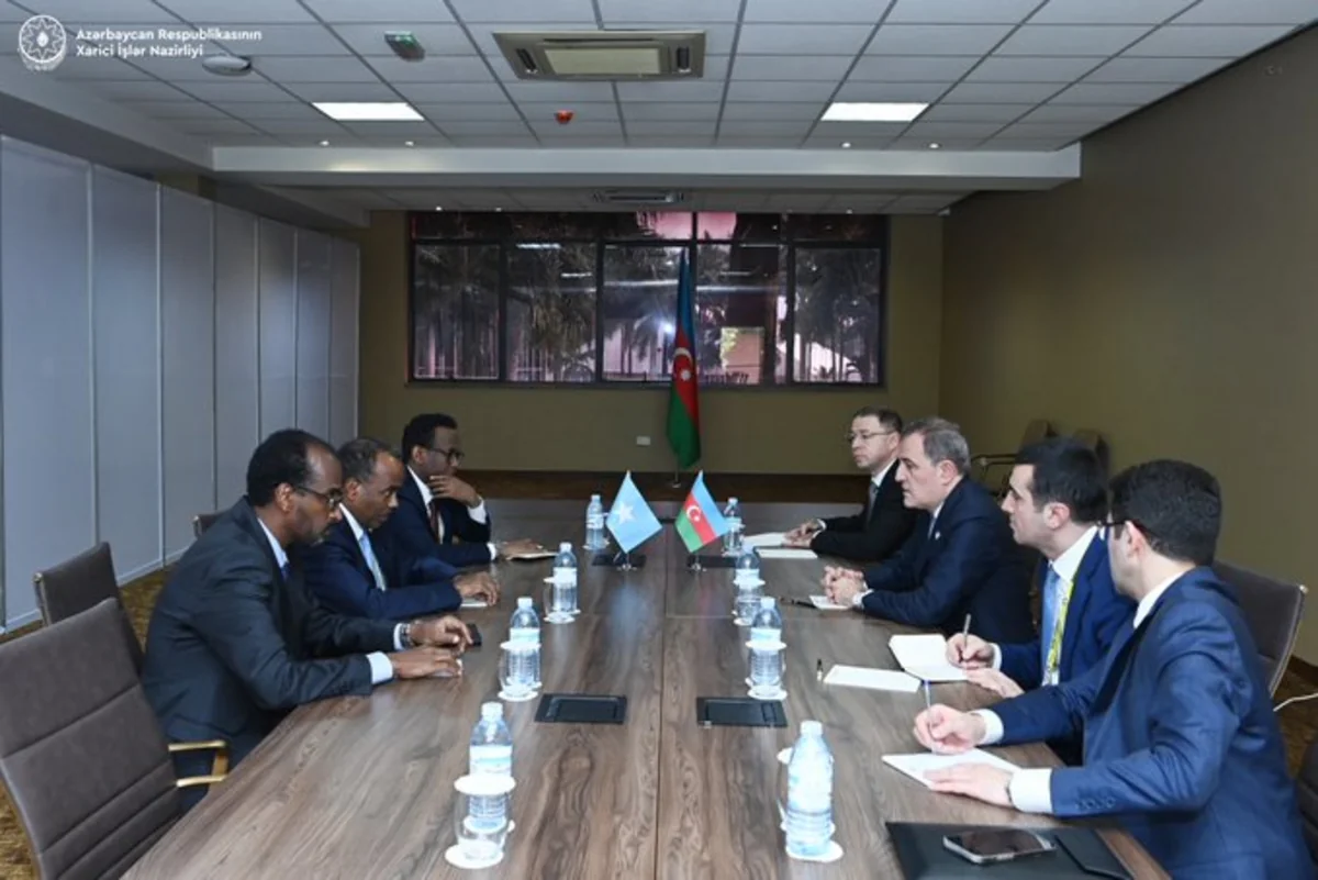 Azərbaycan və Somali arasında əməkdaşlıq məsələləri müzakirə olunub - YENİLƏNİB