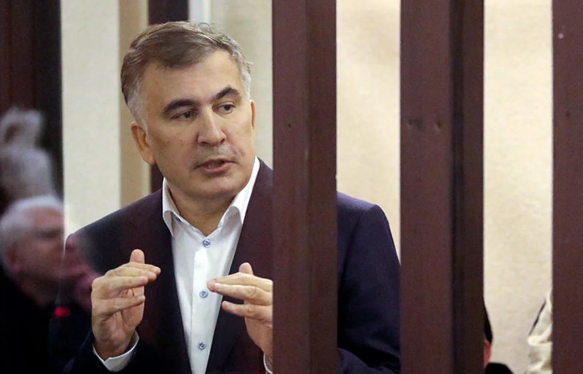 В Грузии партия Саакашвили будет признана неконстутиционной