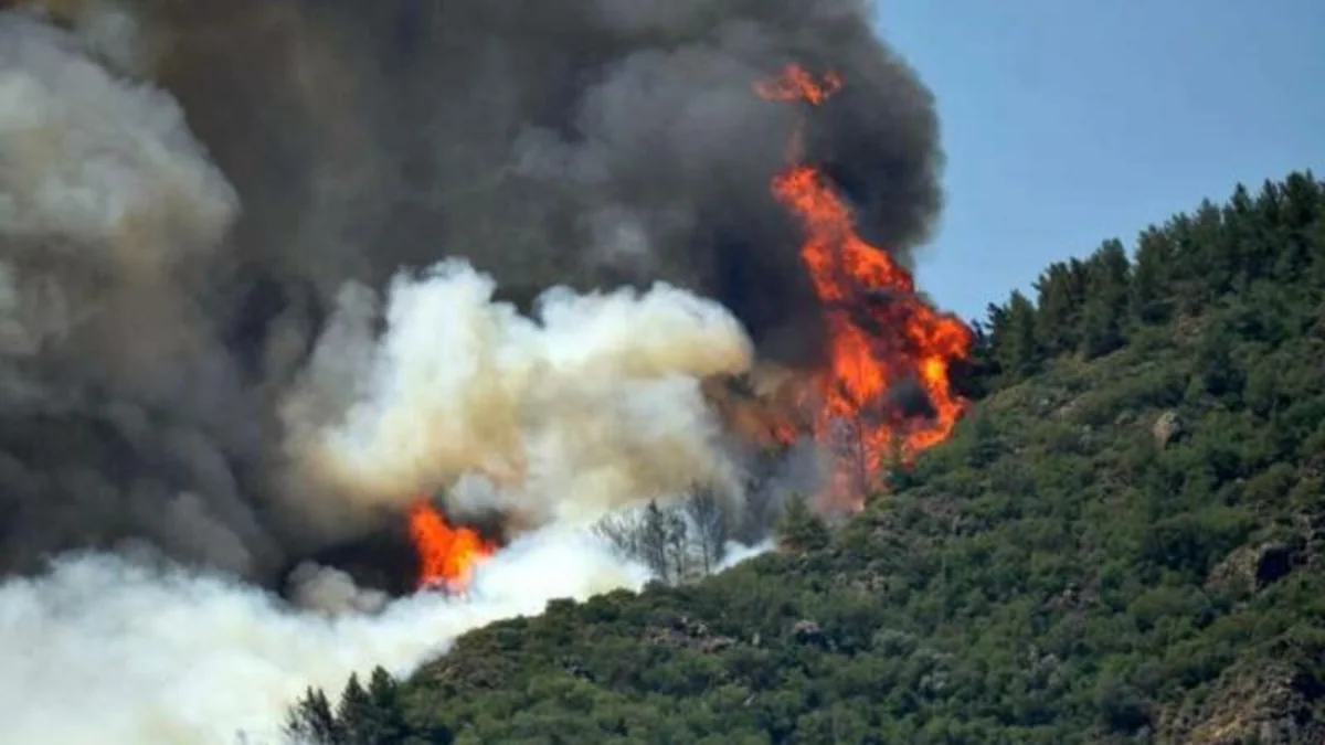 Two more forest fires break out in Turkey 