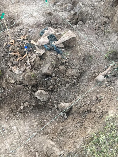 Komissiya: Xocavəndin Edilli kəndində və Füzuli şəhərində kütləvi məzarlıqlar aşkarlanıb