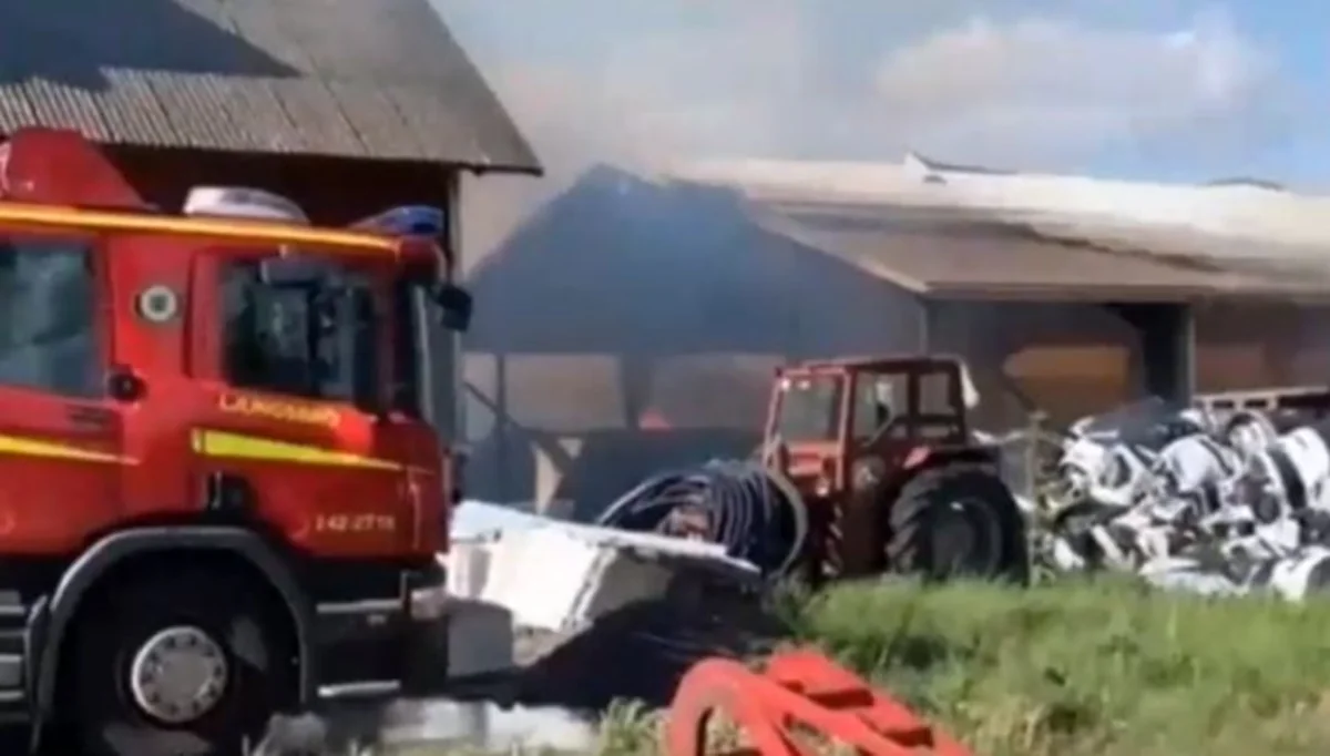 İsveçdə yanğın nəticəsində 100 min ev quşu tələf olub - VİDEO